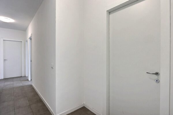 BSC BICOCCA 2.5 - immagine 19
